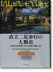 chokuritujinruishi.jpg