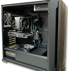 p10flu.jpg