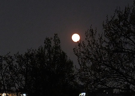 20200408moon.jpg